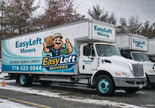 WhatsApp Image 2026-03-14 at 3.06.14 PM